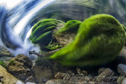 freshwater swirl (Dourbie river - France) by Mathieu Foulquié 